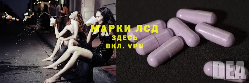 где найти   Богородицк  MEGA зеркало  LSD-25 экстази ecstasy 